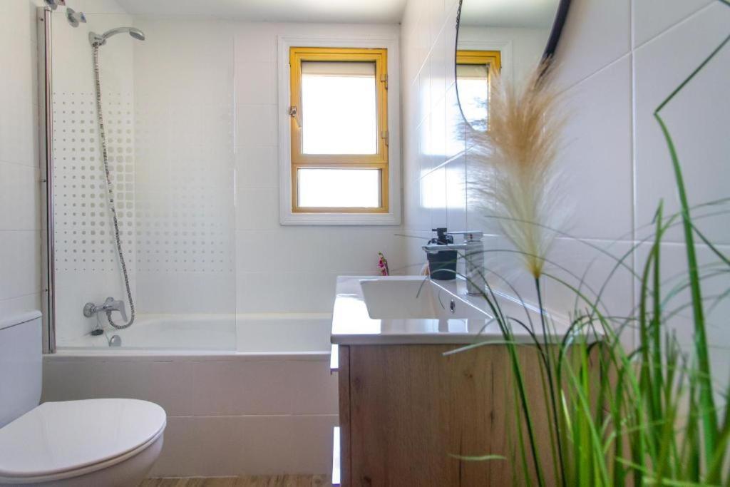 Sol Y Luz Apartamento Levante Centro 베니돔 외부 사진
